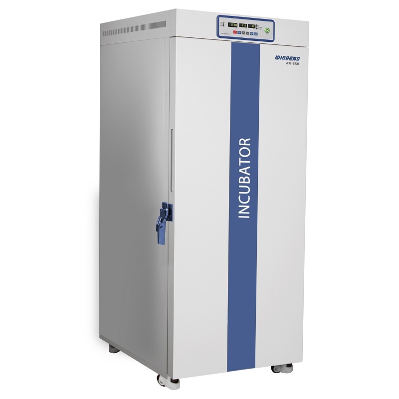 WH-650恒温培养箱图片