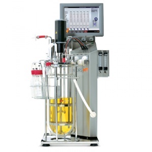 实验室小型发酵罐 Labfors5 Bacteria图片